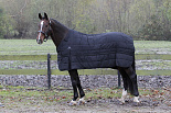 Harry's Horse Onderdeken 200 gr Met Fleece voering