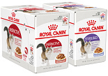 Royal Canin Kat Natvoer 12 x 85 gr