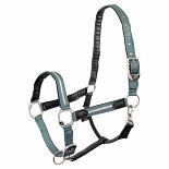 BR Halster Atlantic Pony Goblin Green 