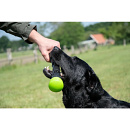 Dog Comets Meteor Werpstok Groen