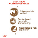 Royal Canin Kattenvoer Ageing 12+ 2 kg