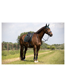 BR Zadeldek Event Cooldry Dressuur Full Green Gables