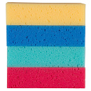 Premiere Spons Assorti