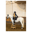 BR 4-Ever Horses Zadeldek Davide Inkwell VZ Cob