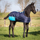 Harry's Horse Veulendeken TwoTone Navy 65 cm