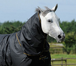 Bucas Hals Irish Zwart/Goud