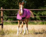 QHP Veulendeken Turnout Collection Festival