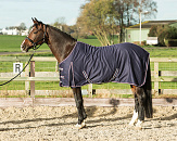 Harry's Horse Zomerdeken Polycotton Navy