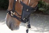 HKM Sports Halster Safe Control Full