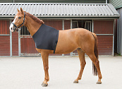 Harry's Horse Borstbeschermer Lycra Zwart