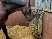 Hay Slowfeeder Net 10kg 5mm dik, Maaswijdte 60/45mm