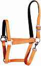 Harry's Horse Halster Padded Oranje
