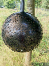 Horse Fly Trap Ball 45 cm