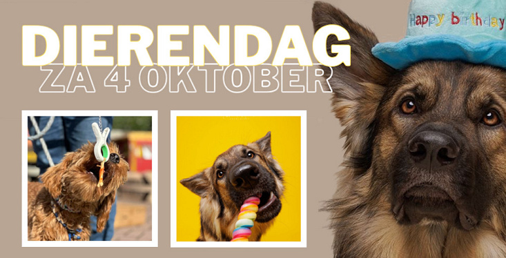 Vier dierendag met ons mee