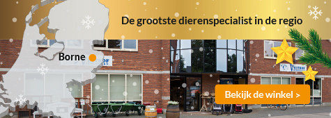 slider winkel velthof 475x170 kerst