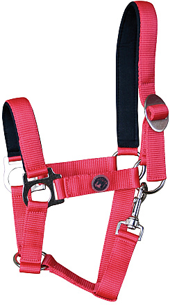 Harry's Horse Halster Padded Rood