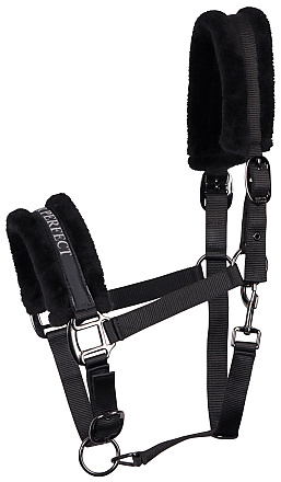 Harry's Horse Halster Lyrics Zwart