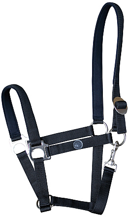 Harry's Horse Halster Padded Zwart