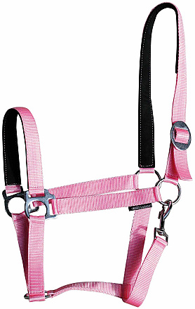 Harry's Horse Halster Padded Rose