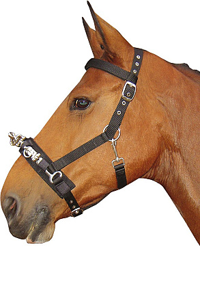 Harry's Horse Kaptoom Zwart