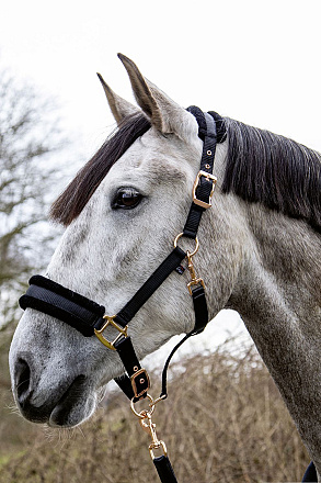 HKM Sports Halster Rosegold Glamour Zwart Pony