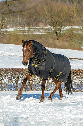 Bucas Hals Irish Zwart/Goud