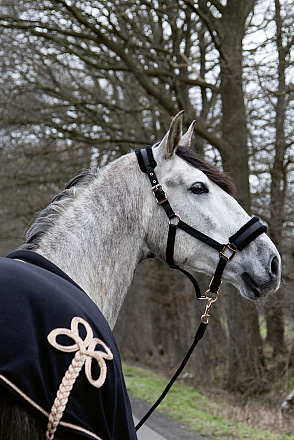 HKM Sports Halster Rosegold Glamour Zwart Pony