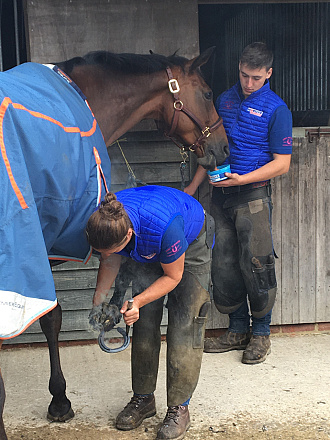 Horslyx Mini Garlic 650 gram