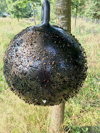 Horse Fly Trap Ball 45 cm