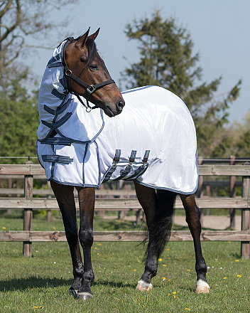 QHP Vliegendeken Technical Wit