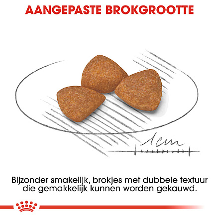 Royal Canin Hondenvoer<br> X-Small Ageing 12+<br> 500 Gr