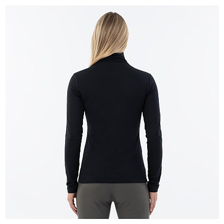 BR Pulli Desi Meteorite