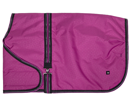 QHP Veulendeken Turnout Collection Festival