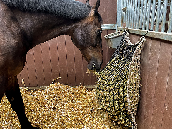 Hay Slowfeeder Net 10kg 5mm dik, Maaswijdte 60/45mm