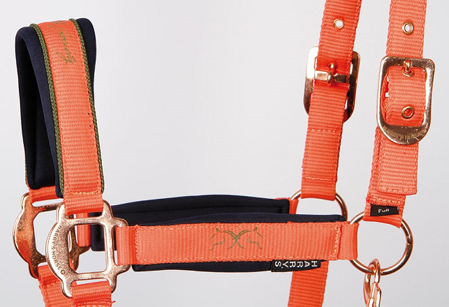 Harry's Horse Halsterset Askham Living Coral Pony