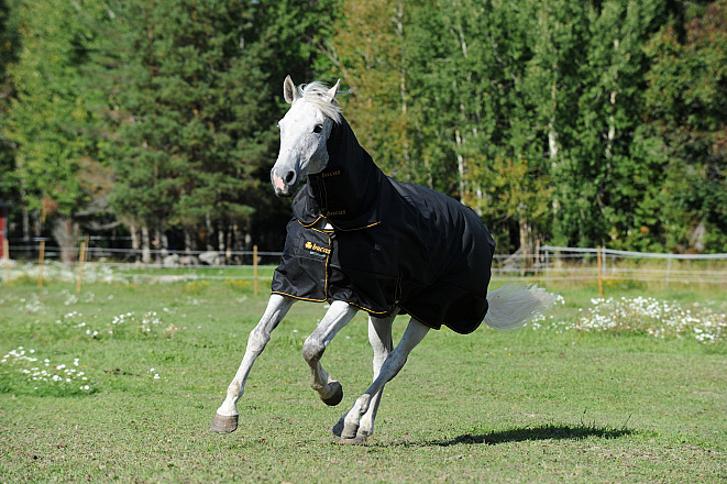 Bucas Hals Irish Zwart/Goud