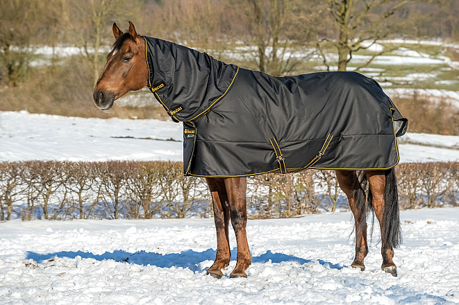 Bucas Hals Irish Zwart/Goud