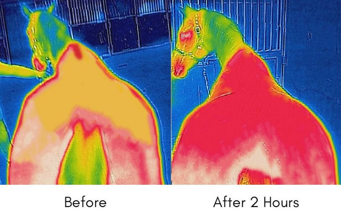 Bucas Therapy Liner 150 gram Blauw/Oranje 