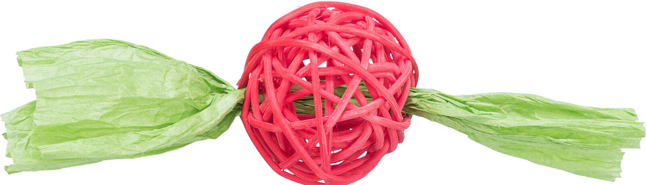 TRIXIE set rotan ballen met lint