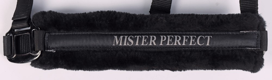 Harry's Horse Halster Lyrics Zwart